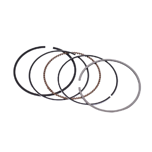 رينگ موتور ريو استاندارد اورجينال HAFNER