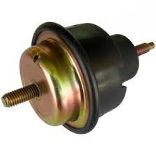 هيدرومانت زانتيا