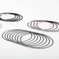 رينگ موتور پژو ٢٠٠٠ اورجينال HAFNE